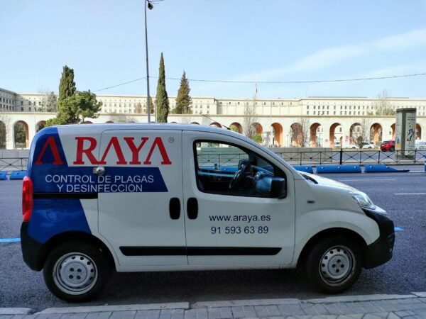 presupuesto de control de plagas en Madrid - A RAYA