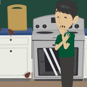 Información sobre el tratamiento profesional contra cucarachas de cocina