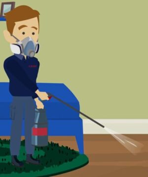 tratamiento contra chinches en Madrid - pulverización / fumigación de vivienda